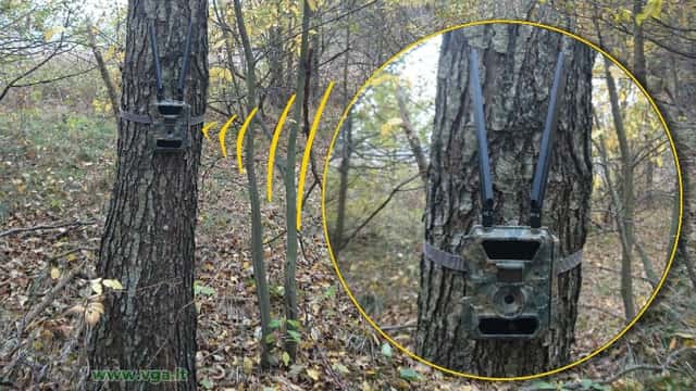 Produkto nuotrauka