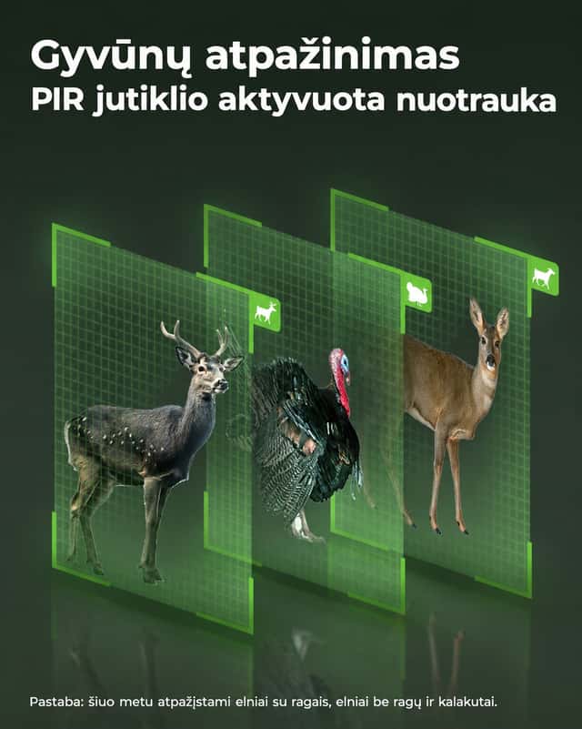 Produkto nuotrauka