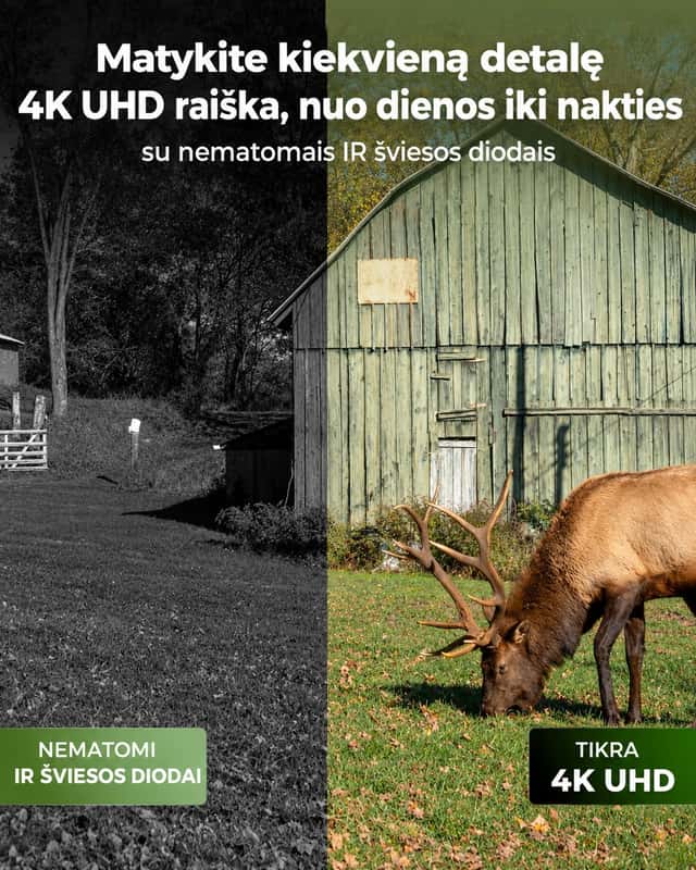 Produkto nuotrauka